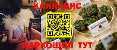 гидра Рязань