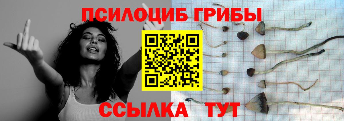 Нерюнгри  Галлюциногенные грибы прущие грибы  наркота  Галлюциногенные грибы мицелий  Вход с VPN 